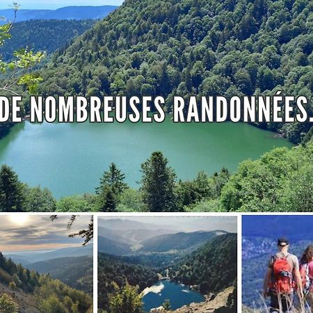 Meubles De La Doller, Les Canards Διαμέρισμα Masevaux-Niederbruck Εξωτερικό φωτογραφία